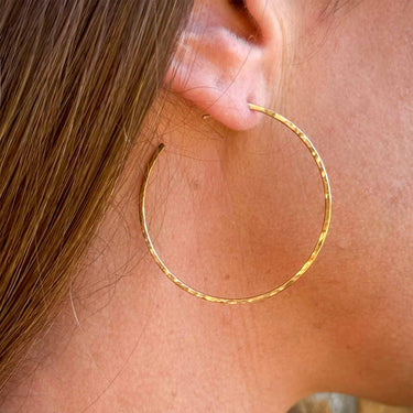 TTE Hoops